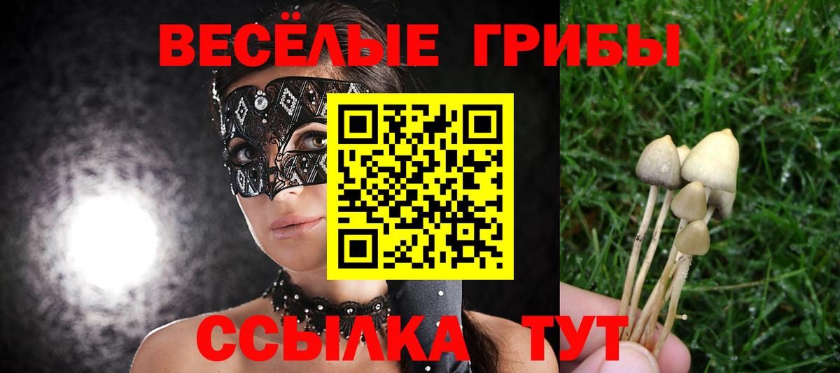 Галлюциногенные грибы мицелий  Вход с VPN  Петровск  Галлюциногенные грибы Psilocybine cubensis 